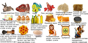 Картинка база знан.png